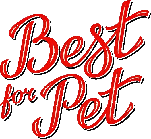 bestforpet.store